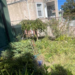 Bush Trimming by Perry’s Landscaping LLC reviewed on June 1, 2022