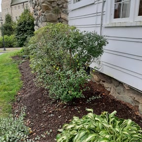 Flower Bed Weeding by Professional lawn care reviewed on October 19, 2021