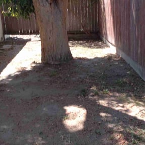 Leaf Removal by Williams lawn care ATX reviewed on April 24, 2022