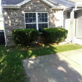 Bush Trimming by Solis lawn care reviewed on May 7, 2022
