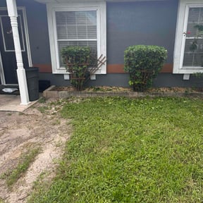 Bush Trimming by DLAWN SERVICE LLC reviewed on February 22, 2025