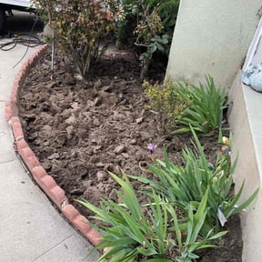 Weeding by Forever Green FG LLC reviewed on May 6, 2025