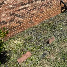 Flower Bed Weeding by Grasman LLC reviewed on November 6, 2021