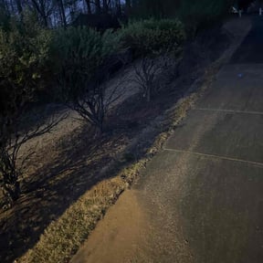 Bush Trimming by Newer Cuyahoga Lawn Care reviewed on July 10, 2021