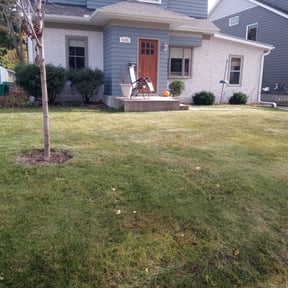 Leaf Removal by Olympus Outdoor Services reviewed on April 8, 2025