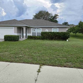 Bush Trimming by TruQuality Outdoor Maintenance & Lanscaping reviewed on September 21, 2021