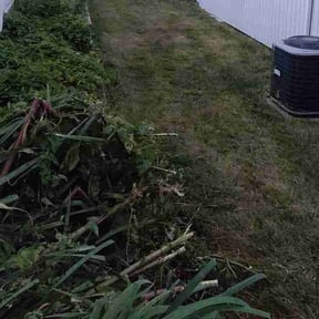 Bush Trimming by Slick Lawns reviewed on July 14, 2022