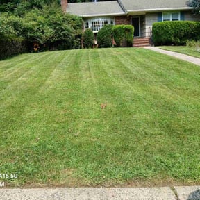 Bush Trimming by Good & Green Grounds Maintenance LLC reviewed on April 27, 2022