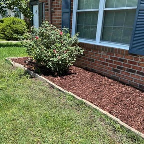 Mulching by Dj Fresh cuts reviewed on May 11, 2022