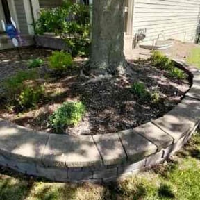 Bush Trimming by Valenciano Lawn Services LLC reviewed on August 1, 2025