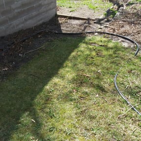 Leaf Removal by Dels Mow, Blow, and snow removal reviewed on July 7, 2025