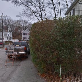 Bush Trimming by Just Cuts Lawn Care reviewed on August 3, 2022