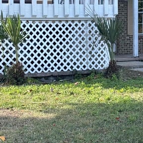 Bush Trimming by Ward Family Management Co., LLC reviewed on April 22, 2022