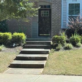 Flower Bed Weeding by Mite Bite reviewed on June 14, 2024