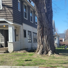 Cleanups by Nicks tree removal reviewed on October 28, 2024