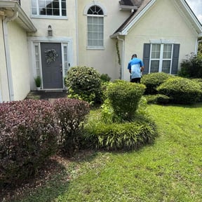 Bush Trimming by Wilson's Lawn Care reviewed on April 11, 2025