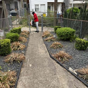 Bush Trimming by Precise Lines Lawn Care reviewed on July 25, 2021