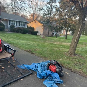 Leaf Removal by Graceful Garden Lawn Care llc reviewed on December 30, 2021