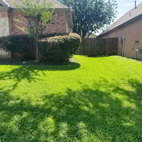 Bush Trimming by Dedicated Lawn Care reviewed on July 24, 2022