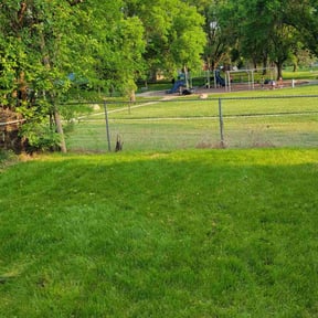 Cleanups by Handy Honey Do LLC reviewed on April 27, 2025