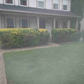 Bush Trimming by Barefoot lawn and landscapes LLC. reviewed on May 31, 2022