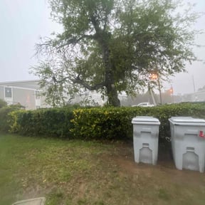 Bush Trimming by Bright Landscaping Services reviewed on June 1, 2022