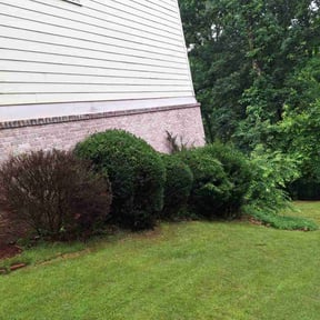 Bush Trimming by C&R Hauling&Landscaping reviewed on June 1, 2022
