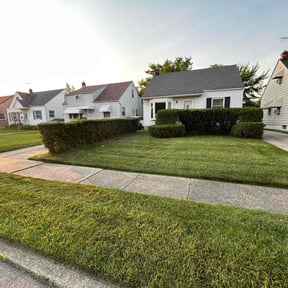 Bush Trimming by Both Sides Of The Fence Lawn Care and Maintenance LLC. reviewed on November 1, 2022