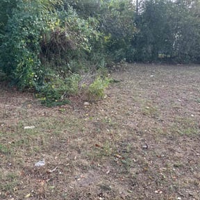 Bush Trimming by BARRIOS lawn & landscaping reviewed on June 20, 2022