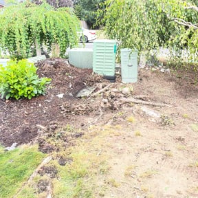 Cleanups by Speedy property & Lawn care reviewed on May 11, 2021