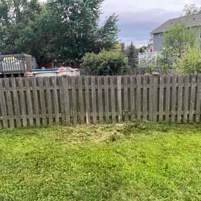 Flower Bed Weeding by Terry Collins reviewed on July 28, 2022
