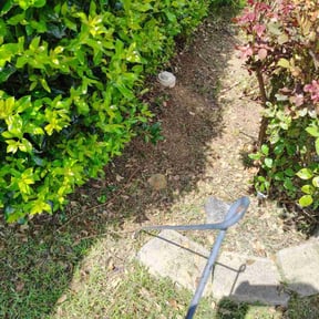 Flower Bed Weeding by Walla lawns reviewed on June 18, 2025