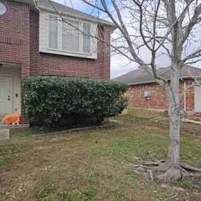 Bush Trimming by GALVRI Lawn and Services reviewed on April 26, 2025