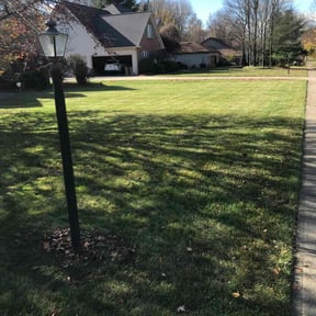 Leaf Removal by RTH Lawn Service & Landscaping LLC reviewed on August 3, 2022