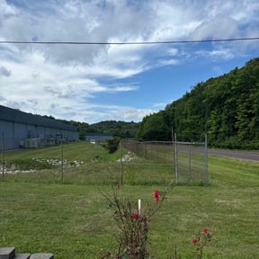 Bush Trimming by The Lawn Barbers STC LLC reviewed on July 16, 2025