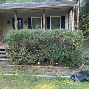 Bush Trimming by FlexCuts Lawncare reviewed on July 11, 2022