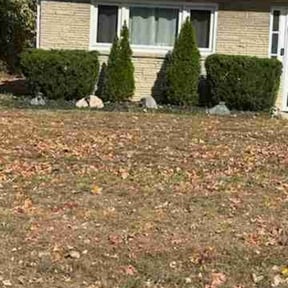 Bush Trimming by J’s Lawn Care reviewed on March 1, 2022