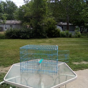 Cleanups by ARG landscape &amp; Lawn LLC reviewed on August 14, 2025