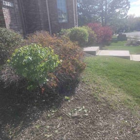 Bush Trimming by Green River Landscape, LLC reviewed on May 25, 2022