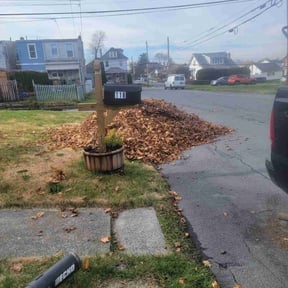 Leaf Removal by real lawn service reviewed on June 1, 2022