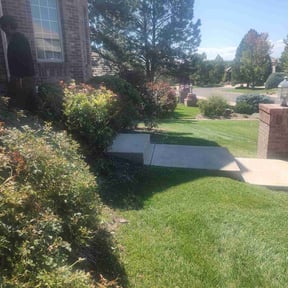 Bush Trimming by 4 Family Lawn Care reviewed on July 24, 2022