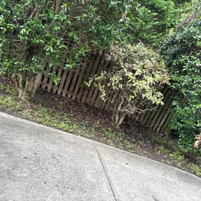 Cleanups by JR. landscaping services reviewed on June 25, 2022