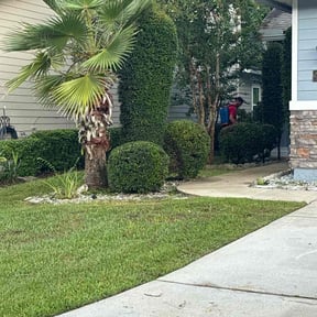Bush Trimming by Waters Landscaping reviewed on December 21, 2024