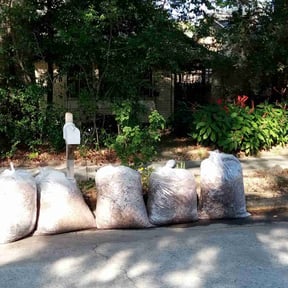 Leaf Removal by K.M.W. Lawn Services & Logistics LLC reviewed on February 25, 2025