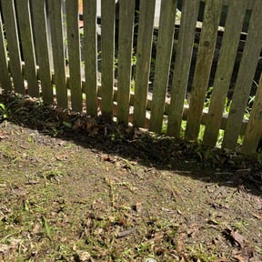Cleanups by Cutting Edge Lawncare reviewed on August 8, 2022