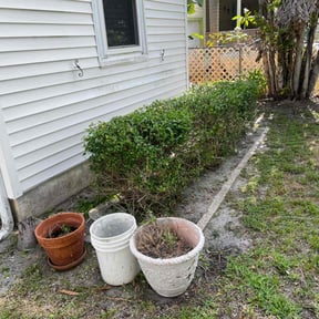 Bush Trimming by ShiftChange LLC Lawn Service reviewed on October 26, 2021