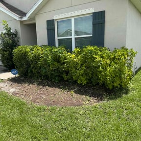 Bush Trimming by Edward's Lawn Care reviewed on July 22, 2022