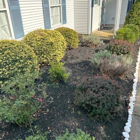 Flower Bed Weeding by OC Lawn Care Services reviewed on July 14, 2022