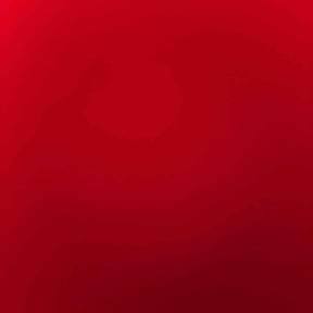 Weeding by MR LAWN reviewed on October 21, 2024