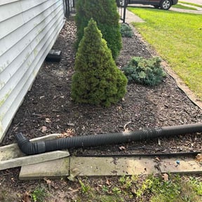 Flower Bed Weeding by A. Shook reviewed on August 12, 2024